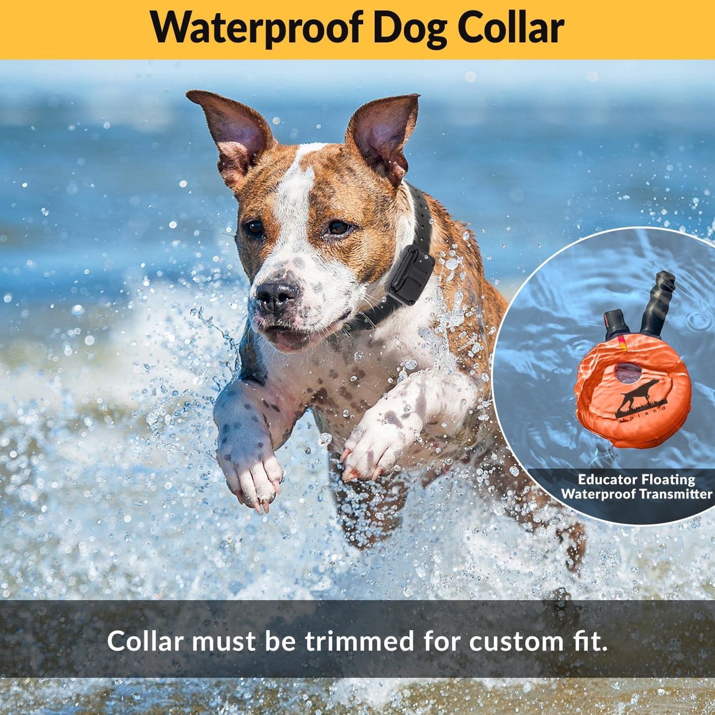 E-Collar Humane Dog Training Collar with Remote, Features 100 Levels of Safe Stimulation, Tapping Sensation, Night Light, Waterproof, Rechargeable, 1 Mile 2 Dog, Upland Orange | 100 Levels of Safe Stimulation, 1 Mile Range, Waterproof & Rechargeable, Nigh