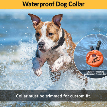 E-Collar Humane Dog Training Collar with Remote, Features 100 Levels of Safe Stimulation, Tapping Sensation, Night Light, Waterproof, Rechargeable, 1 Mile 2 Dog, Upland Orange | 100 Levels of Safe Stimulation, 1 Mile Range, Waterproof & Rechargeable, Nigh