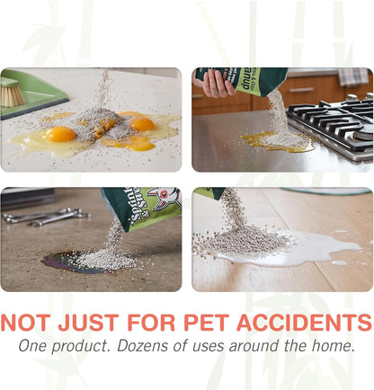 Pet Accident Cleanup for All Hard Surface - Non Toxic Quick Pet Mess Cleaner & Odor Remover for Urine, Poop, Vomit, Diarrhea & Potty Training, Hair Balls (1Bag + Sweeper Kit)