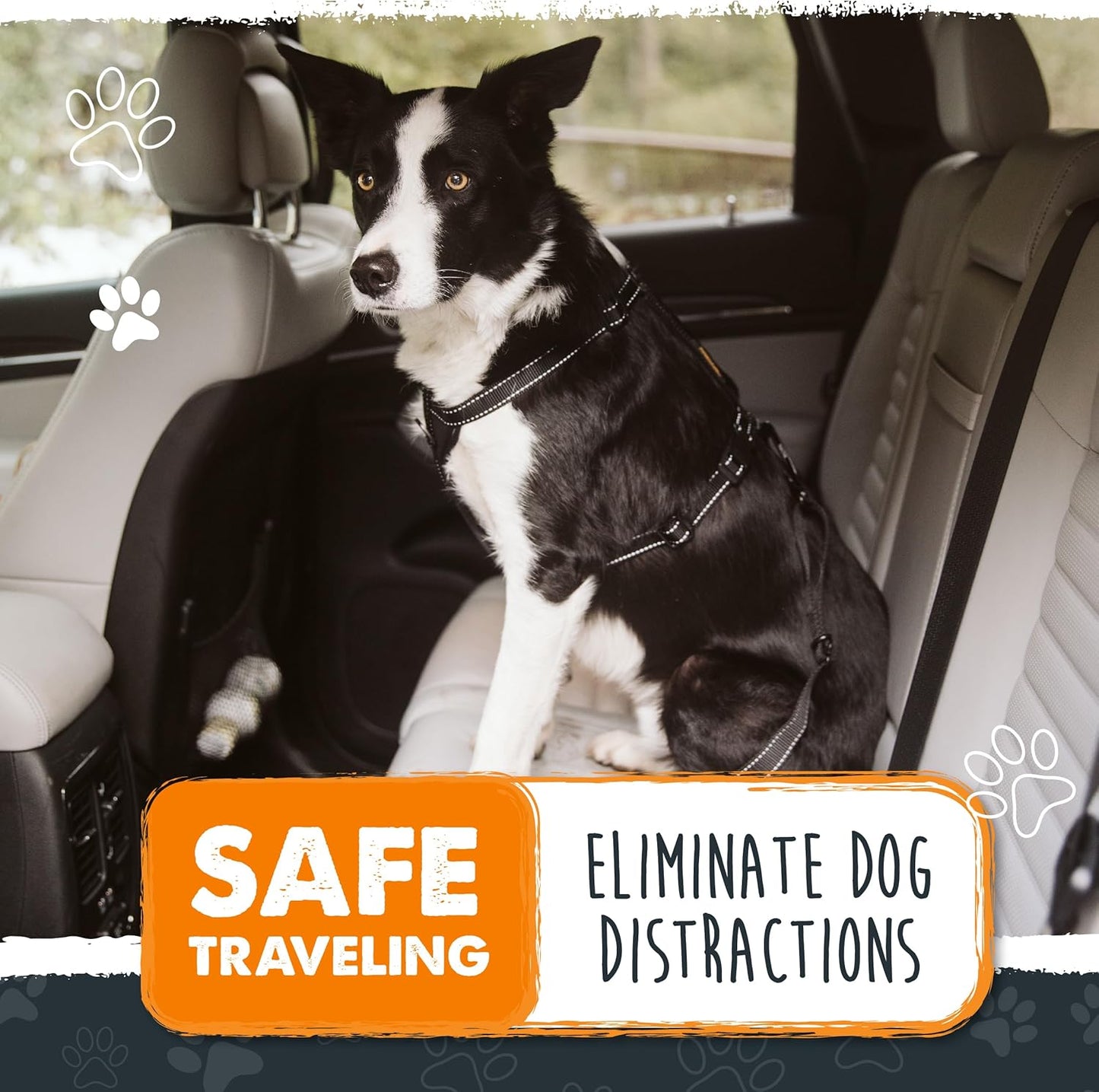 Dog Seat Belt | Pet Safety Belt, Created with Human Seatbelt Material. All-Metal Hardware with Adjustable Length Strap. Exceeds Dog Safety Standards. Keep Your Dog Secure in the Car